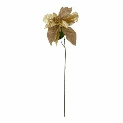 Top 10 🛒 Metallic Gold Poinsettia Stem by Ashland® ⭐