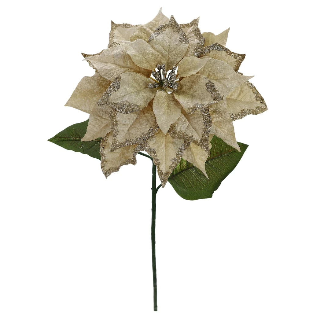 Cheapest π€© Light Gold Glitter Poinsettia Stem by Ashland® π 5 Cheapest π€© Light Gold Glitter Poinsettia Stem by Ashland® π - Image 3