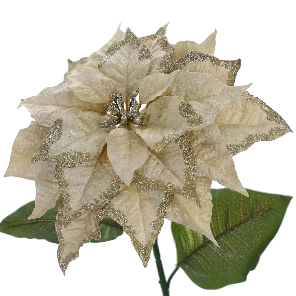 Cheapest π€© Light Gold Glitter Poinsettia Stem by Ashland® π 4 Cheapest π€© Light Gold Glitter Poinsettia Stem by Ashland® π - Image 2