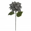 Best Pirce β€οΈ Silver Glitter Poinsettia Stem by Ashland® βοΈ 2 Best Pirce β€οΈ Silver Glitter Poinsettia Stem by Ashland® βοΈ -Christmas Shop 10673375 1