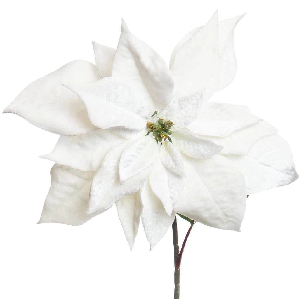 New π White Velvet Poinsettia Stem by Ashland® π€© 4 New π White Velvet Poinsettia Stem by Ashland® π€© - Image 2