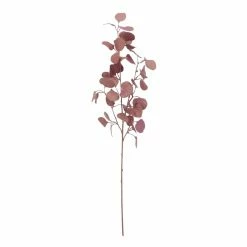Top 10 🧨 Pink Eucalyptus Stem by Ashland® 🛒