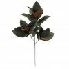 Cheapest 🥰 Dark Green Magnolia Leaves Stem by Ashland® ✔️ -Christmas Shop 10674564 1