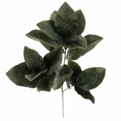 Cheapest 🥰 Dark Green Magnolia Leaves Stem by Ashland® ✔️ -Christmas Shop 10674564 2