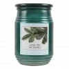 Flash Sale 🎁 Aspen Pine Jar Candle by Ashland® 😉 -Christmas Shop 10675787 1