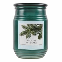 Flash Sale 🎁 Aspen Pine Jar Candle by Ashland® 😉