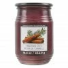 Flash Sale 🥰 Cinnamon Stick Jar Candle by Ashland® 🛒 -Christmas Shop 10675794 1
