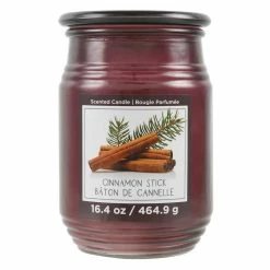 Flash Sale 🥰 Cinnamon Stick Jar Candle by Ashland® 🛒