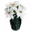 Top 10 🧨 White Potted Poinsettia with Green Foil by Ashland® ❤️