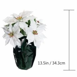 Top 10 🧨 White Potted Poinsettia with Green Foil by Ashland® ❤️ -Christmas Shop 10676008 3