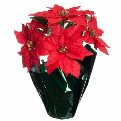 Cheapest 💯 Red Potted Poinsettia with Green Foil by Ashland® ⭐