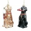 Best reviews of 🤩 Assorted 4" Glass Lab 🐶 Dog Ornament by Ashland® 🎅 Christmas 😀