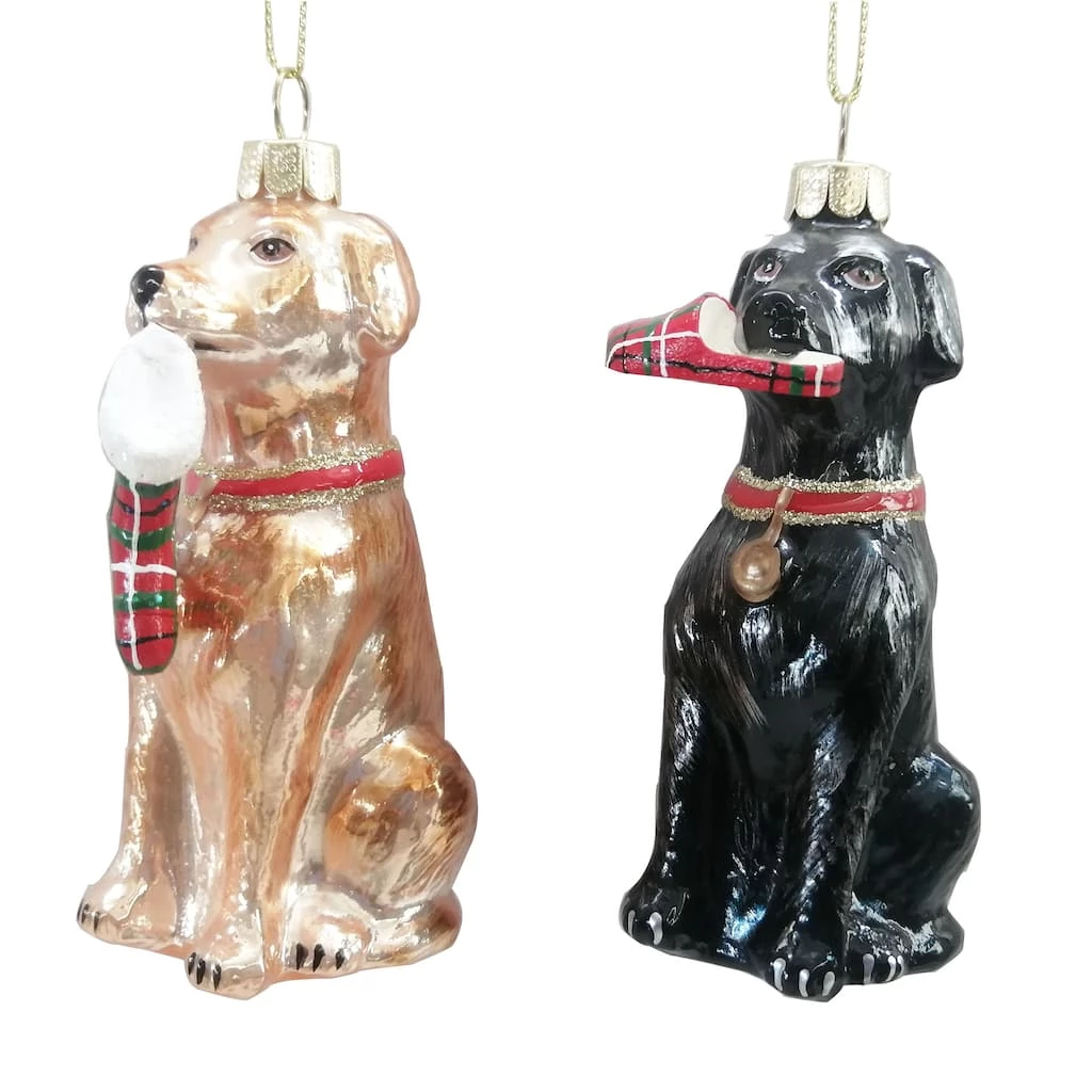 Best reviews of π€© Assorted 4" Glass Lab πΆ Dog Ornament by Ashland® π
Christmas π 3 Best reviews of π€© Assorted 4" Glass Lab πΆ Dog Ornament by Ashland® π
Christmas π