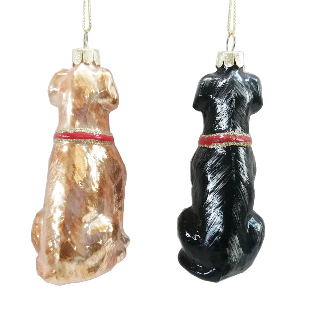 Best reviews of π€© Assorted 4" Glass Lab πΆ Dog Ornament by Ashland® π
Christmas π 5 Best reviews of π€© Assorted 4" Glass Lab πΆ Dog Ornament by Ashland® π
Christmas π - Image 3