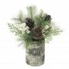 Best reviews of ⭐ 11.5" Pine, Berry & Snow Arrangement by Ashland® ⭐
