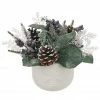 Promo βοΈ 11" Mixed Pine, Berries & Pinecone Arrangement by Ashland® π₯° 1 Promo βοΈ 11" Mixed Pine, Berries & Pinecone Arrangement by Ashland® π₯° -Christmas Shop 10698890 1