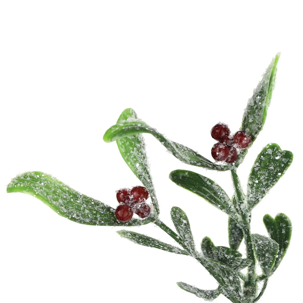 Best reviews of π Assorted Mini Mistletoe Bundle by Ashland® π 8 Best reviews of π Assorted Mini Mistletoe Bundle by Ashland® π - Image 6