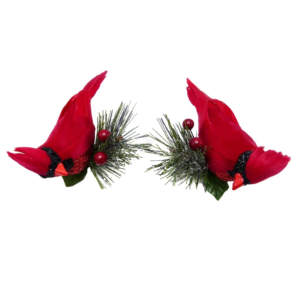 Brand new β¨ Cardinals on Pine Branch Accents by Ashland®, 2ct. π 4 Brand new β¨ Cardinals on Pine Branch Accents by Ashland®, 2ct. π - Image 2