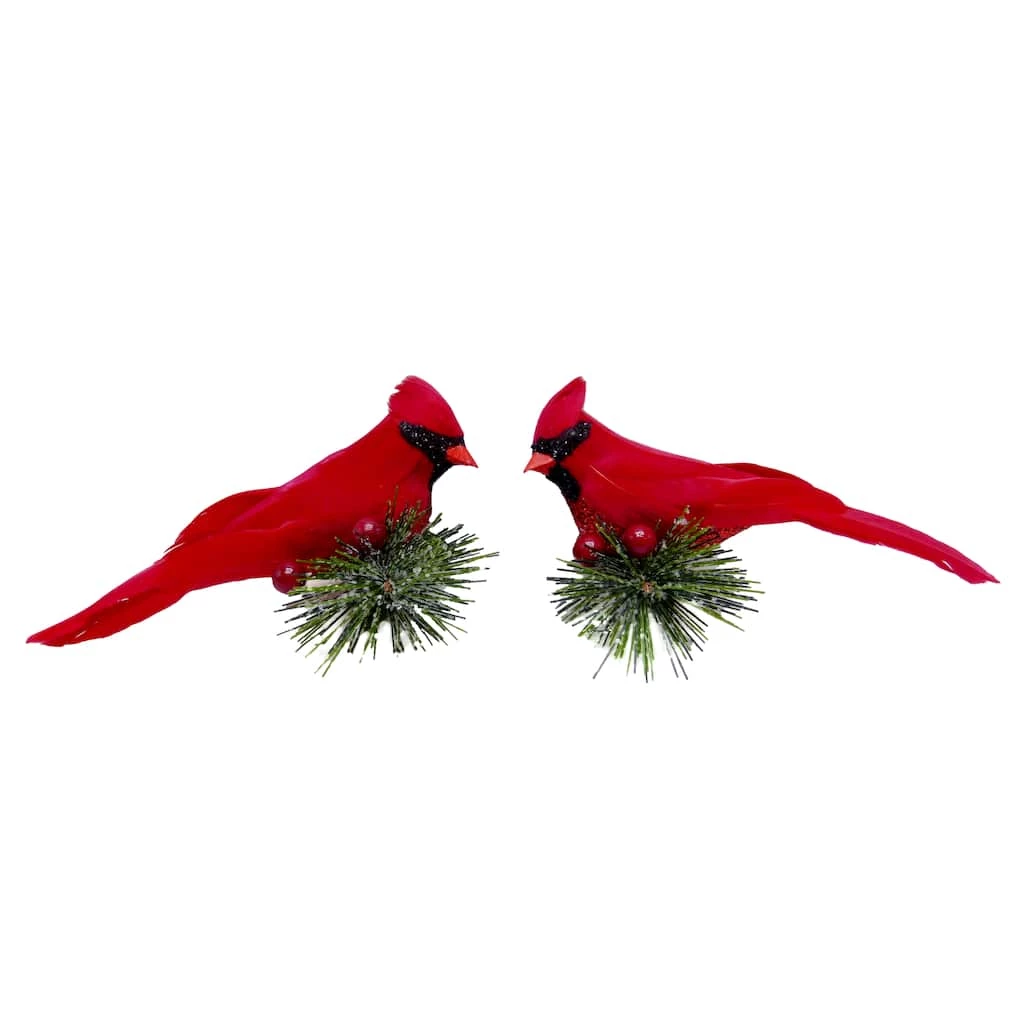 Brand new β¨ Cardinals on Pine Branch Accents by Ashland®, 2ct. π 5 Brand new β¨ Cardinals on Pine Branch Accents by Ashland®, 2ct. π - Image 3