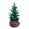 Best Sale 🛒 8'' Small 🎁 Christmas Tree with Base Tabletop Décor by Ashland® ⌛