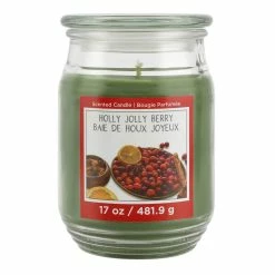 Hot Sale 🎉 Holly Jolly Berry Scented Jar Candle by Ashland® 🎉