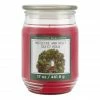 Discount 🎁 Mistletoe & Holly Scented Candle Jar by Ashland® ✔️ -Christmas Shop 10699761 1