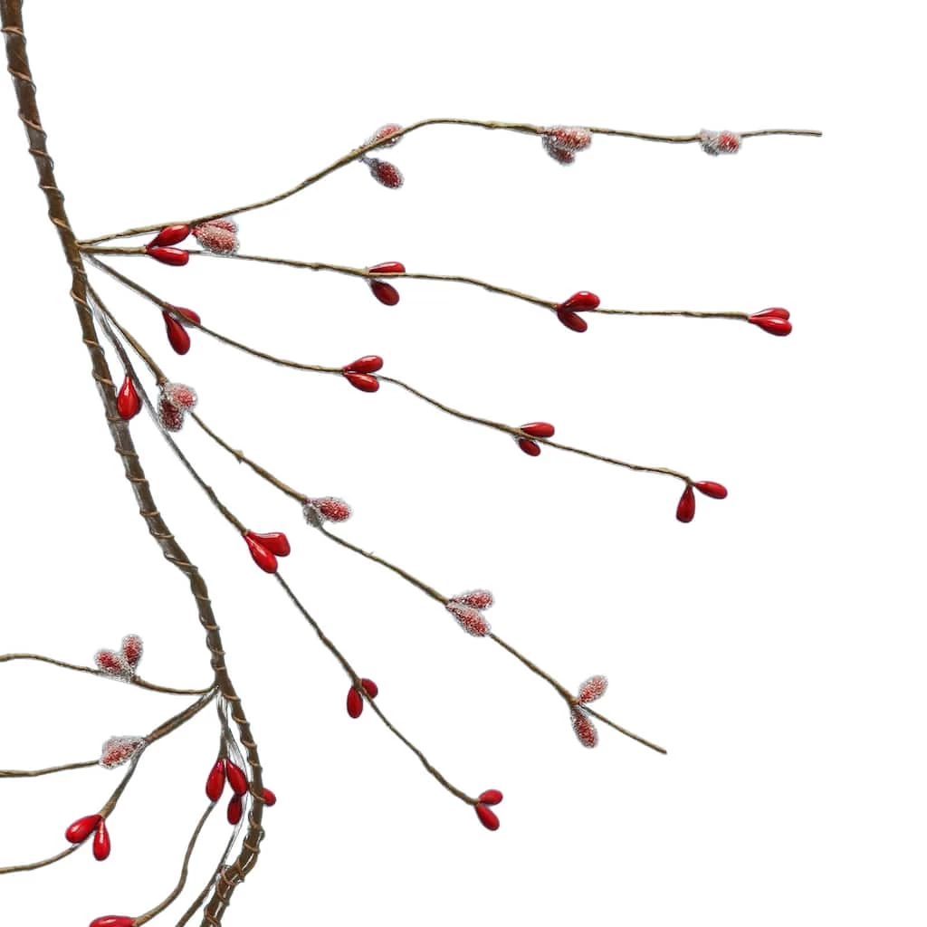 Best reviews of π 3ft. Red Berry Coil Garland by Ashland® π― 4 Best reviews of π 3ft. Red Berry Coil Garland by Ashland® π― - Image 2