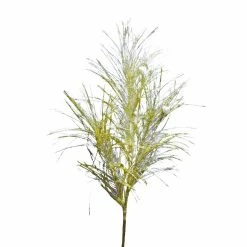 Top 10 🔔 Assorted Pampas Grass & Pip Pick by Ashland® 🎄 Christmas 🌟 -Christmas Shop 10700101 4