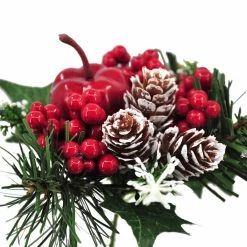 Best deal 🤩 Apple & Berry Pick by Ashland® 🥰 -Christmas Shop 10700123 4