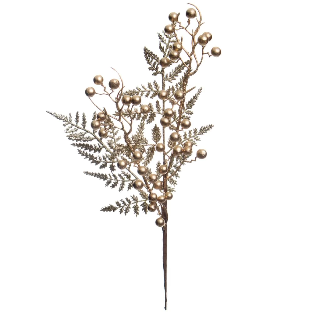 Best reviews of π₯ Gold Berry Pick by Ashland® π 3 Best reviews of π₯ Gold Berry Pick by Ashland® π