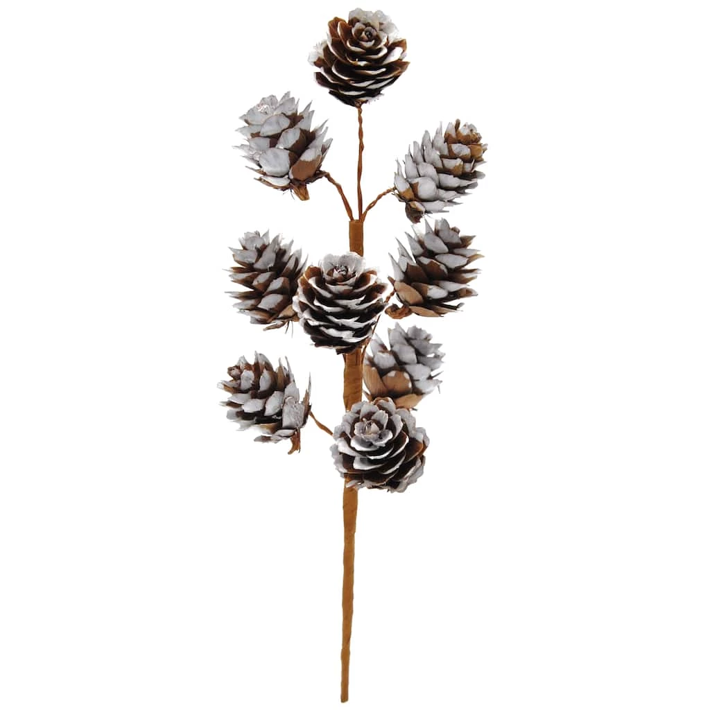 Top 10 π Snowy Pinecone Pick by Ashland® βοΈ 3 Top 10 π Snowy Pinecone Pick by Ashland® βοΈ