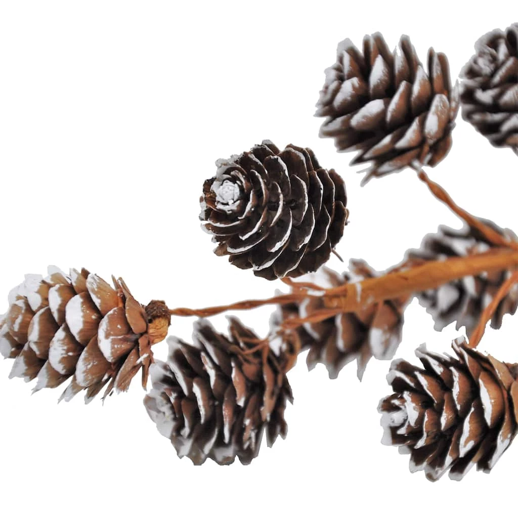 Top 10 π Snowy Pinecone Pick by Ashland® βοΈ 4 Top 10 π Snowy Pinecone Pick by Ashland® βοΈ - Image 2