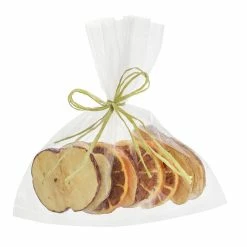 Promo π₯° Decorative Fruit Slices by Ashland® π 7 Promo π₯° Decorative Fruit Slices by Ashland® π -Christmas Shop 10700433 1