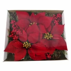 Coupon ⌛ Red Poinsettia Accents by Ashland® 👍