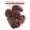 Discount 🥰 Cinnamon Scented Pinecones by Ashland® 🎁