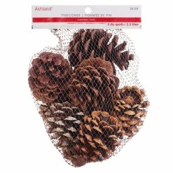 Discount 🥰 Cinnamon Scented Pinecones by Ashland® 🎁