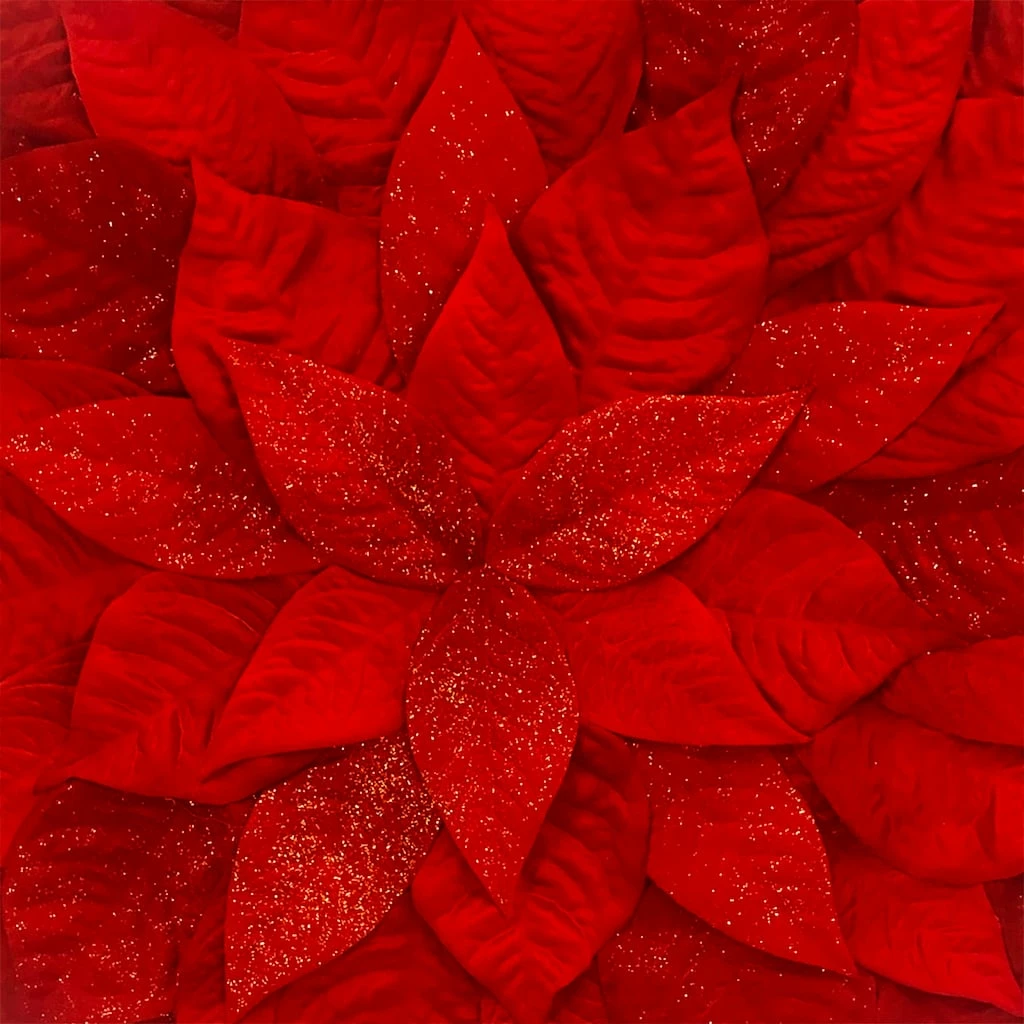 Buy π Sparkly Red Leaf π
Christmas Placemat by Celebrate It™ π 4 Buy π Sparkly Red Leaf π
Christmas Placemat by Celebrate It™ π - Image 2
