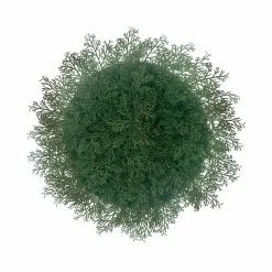 Brand new 🔥 Fern 🎄 Christmas Placemat by Celebrate It™ 🎁