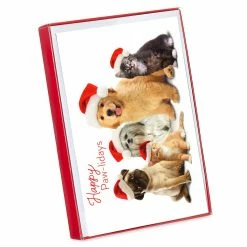 Budget π₯ American Greetings® Holiday Pets Box of Cards βοΈ 7 Budget π₯ American Greetings® Holiday Pets Box of Cards βοΈ -Christmas Shop 10701405 1
