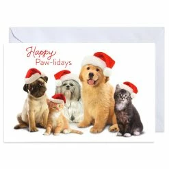 Budget 🔥 American Greetings® Holiday Pets Box of Cards ✔️