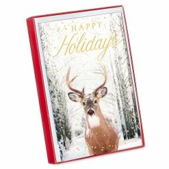 Best deal π American Greetings® Happy Holidays Deer Box of Cards π