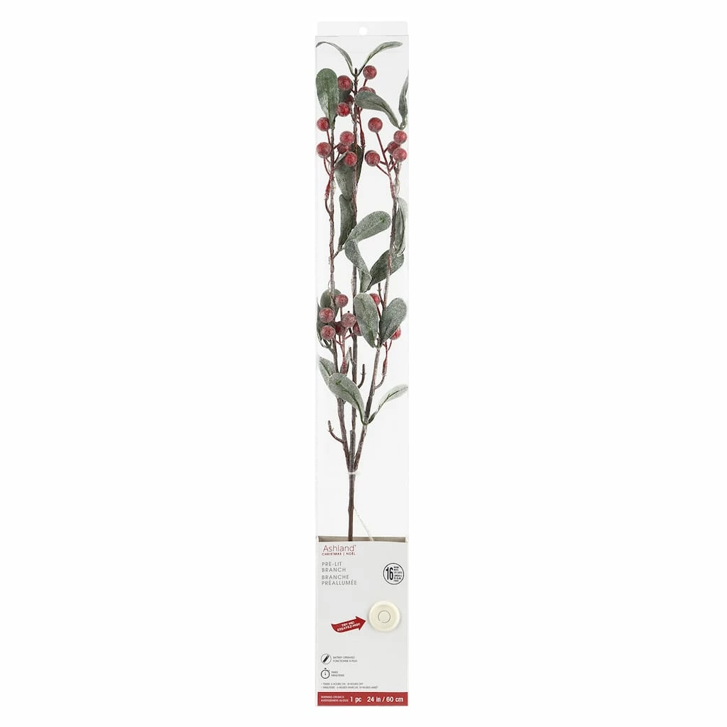 Best Sale β€οΈ Red Berries & Leaves Twig With 16 Lights by Ashland® π₯° 3 Best Sale β€οΈ Red Berries & Leaves Twig With 16 Lights by Ashland® π₯°