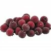 Best Pirce π Red Sugared Berries by Ashland® π 1 Best Pirce π Red Sugared Berries by Ashland® π -Christmas Shop 10702542 1