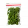 Cheap 🤩 Green Reindeer Moss by Ashland® ✨