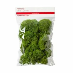 Cheap 🤩 Green Reindeer Moss by Ashland® ✨