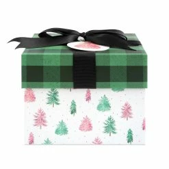 Coupon 😀 Small Miss Claus Gift Box by Ashland® 👍 -Christmas Shop 10703637 2