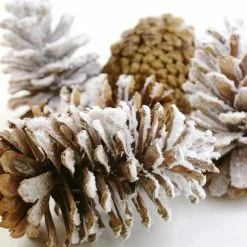 Buy 🛒 Assorted Pinecone Mix by Ashland® 🎉 -Christmas Shop 10703682 3