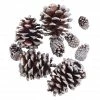 Budget β€οΈ Brown & Silver Glitter Pinecones by Ashland® β€οΈ 2 Budget β€οΈ Brown & Silver Glitter Pinecones by Ashland® β€οΈ -Christmas Shop 10703687 2