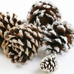 Promo ⭐ Snow Dusted Pinecones by Ashland® 🎁 -Christmas Shop 10703688 3
