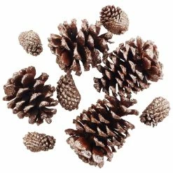 Deals 🧨 Brown & Gold Glitter Pinecones by Ashland® ❤️
